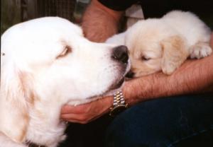 Gemma with one of her pups