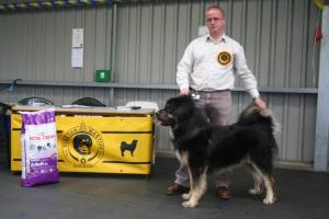 Reserve Best Dog TMCGB Spring Show 2007