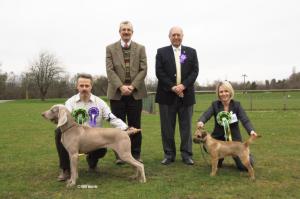 Yzzy goes Best in Show @ Oswestry + DKA