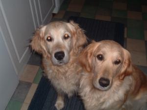 Ruby with her daughter Poppy (Roxali Pinky Jones)