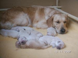 Fed, clean, so off to sleep1