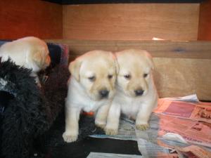 We are four weeks old today
