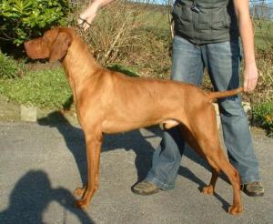 Sire - Granville