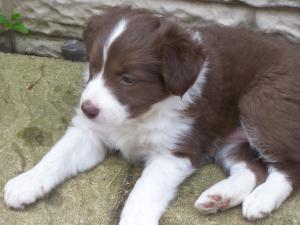 Maddie age 5 weeks (keeping)
