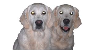 Leah & Remi