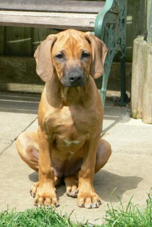 Tiny sitting