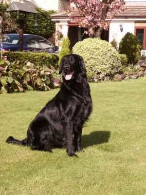 Tess happy at home