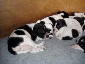  this growing up is a tiring business 