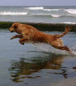 Reilly doing what she does best!