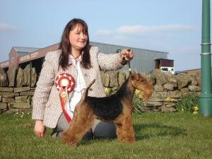 CH SONORRA SCARY MARY (Top Welsh Terrier 2007 )