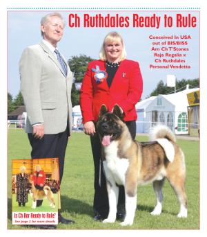 Curr The No #1 Akita Uk Ch.Ruthdales Ready To Rule