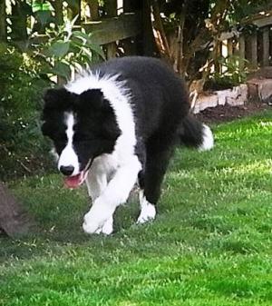 Tally at 4.5 months