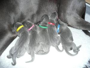 1 Day Old