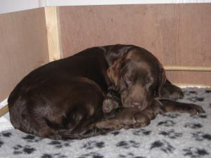 Our first day