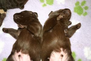 Synchronised sleeping