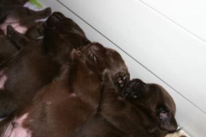 it's a hard life!