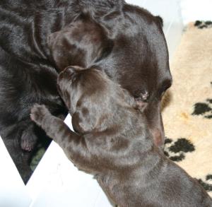 I've got a secret for you mum