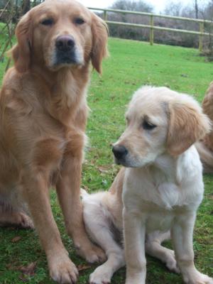 Here I am, back with my Mum!