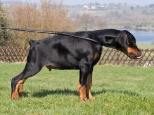 12 weeks
