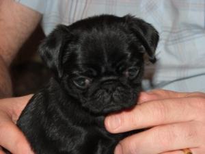black girl at 5 weeks