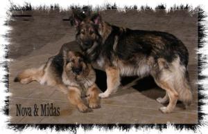 The proud parents!