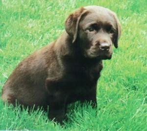 Ruby as a 'baby'!