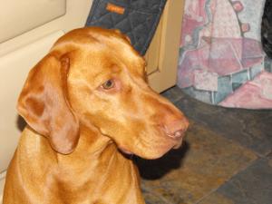 Mum - Aspen
