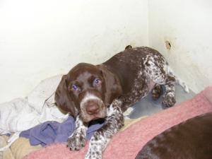 MORE OF FREDDO