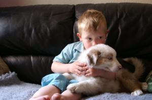 Puppy Love