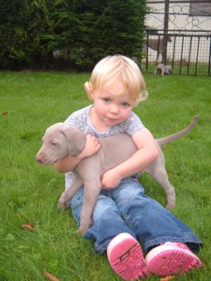 2008 Puppy being introduced to children