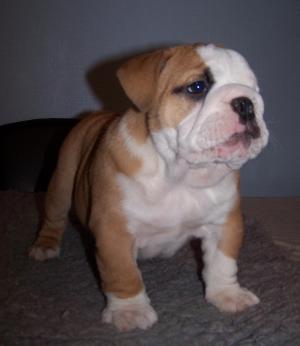 GIRL AT 7 WEEKS