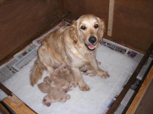 Proud new mum