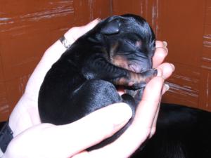 New Born