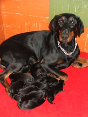 1 day old with mum