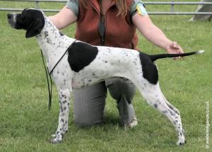 Fowington Five Bob Note JW