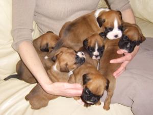 Bundle of joy