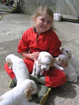 4 week old puppies at play
