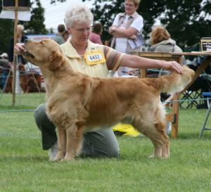 Stormerick Don Sebastian
