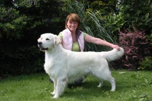Father, Norwegian Champion Amirene Undeclared Love