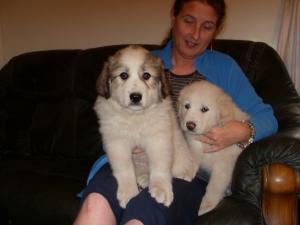 Diamond and Pearl, 8 wks old today