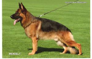 Zeckel von der Mausespitz