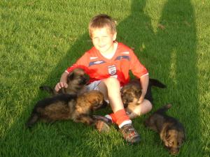 In the Garden with Sam