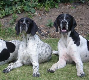 Proud Mum & Dad ( Darcey And Dudley)