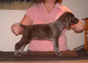Another one of the girls