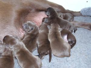 2 days old and doing extremely well