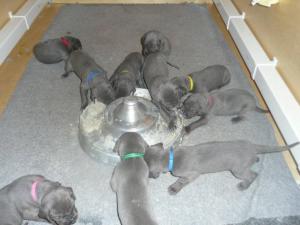 Feeding Time