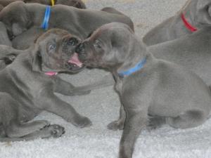 Play time