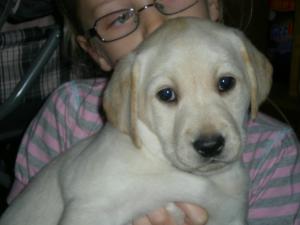 One of the yellow girls