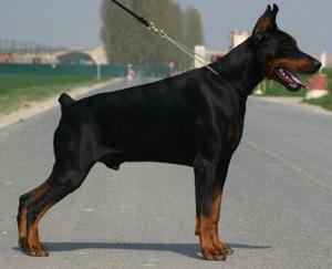 F`Hiram