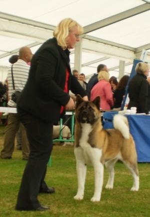 Ruthdales Maid To Rule